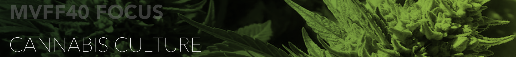 cannabis_bud_headerMVFF40_2