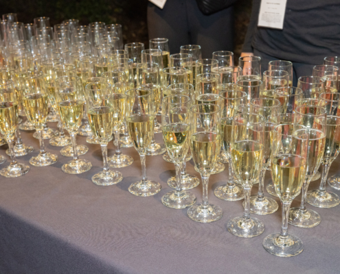 49th Mill Valley Film Festival - Closing Night Party after the screening of "The Debut"